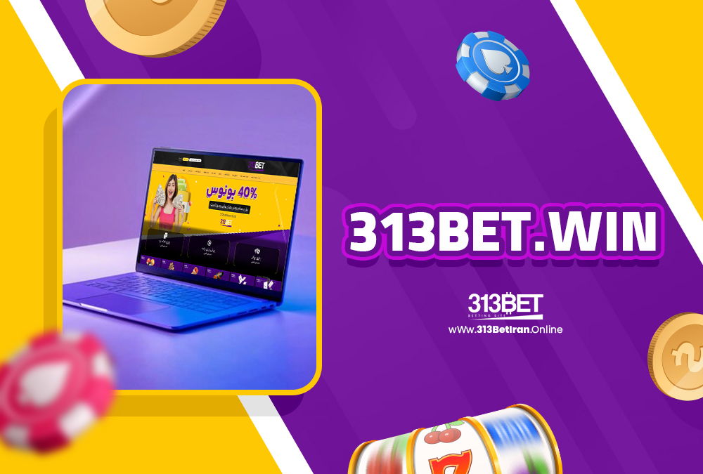 313bet.win